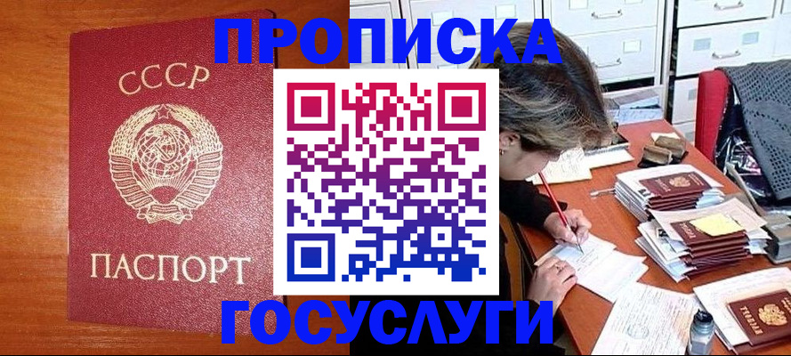 прописка от собственника в Бердске
